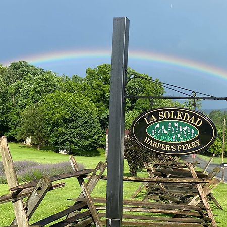 La Soledad Lavender Farm And Guesthouse Harpers Ferry Exterior foto
